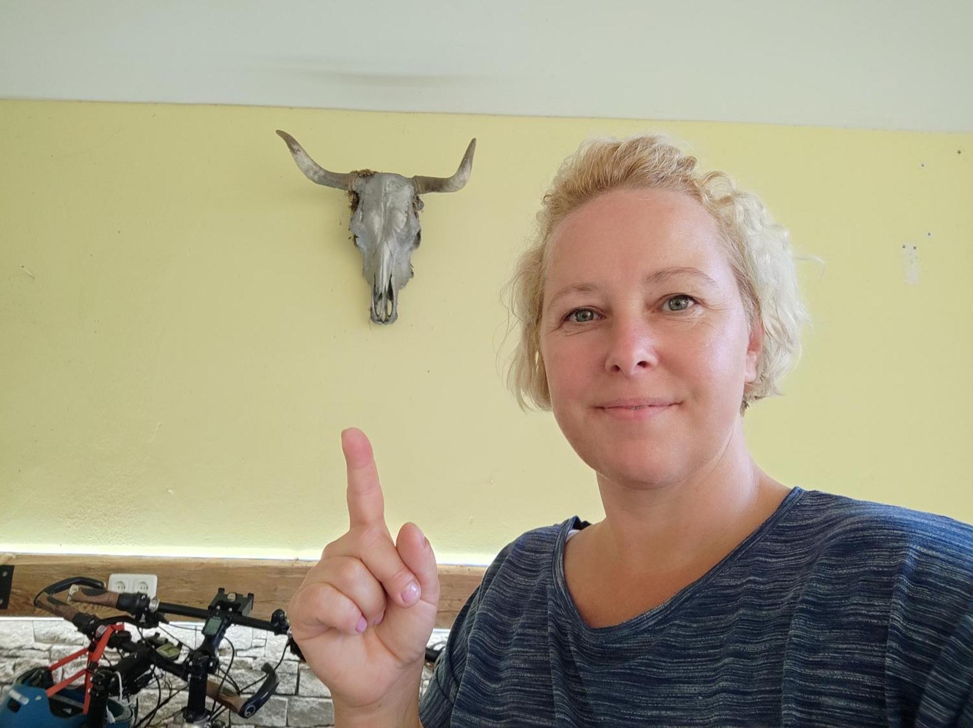 Vakantieboerderij Peterseil's Radl Mauthausen