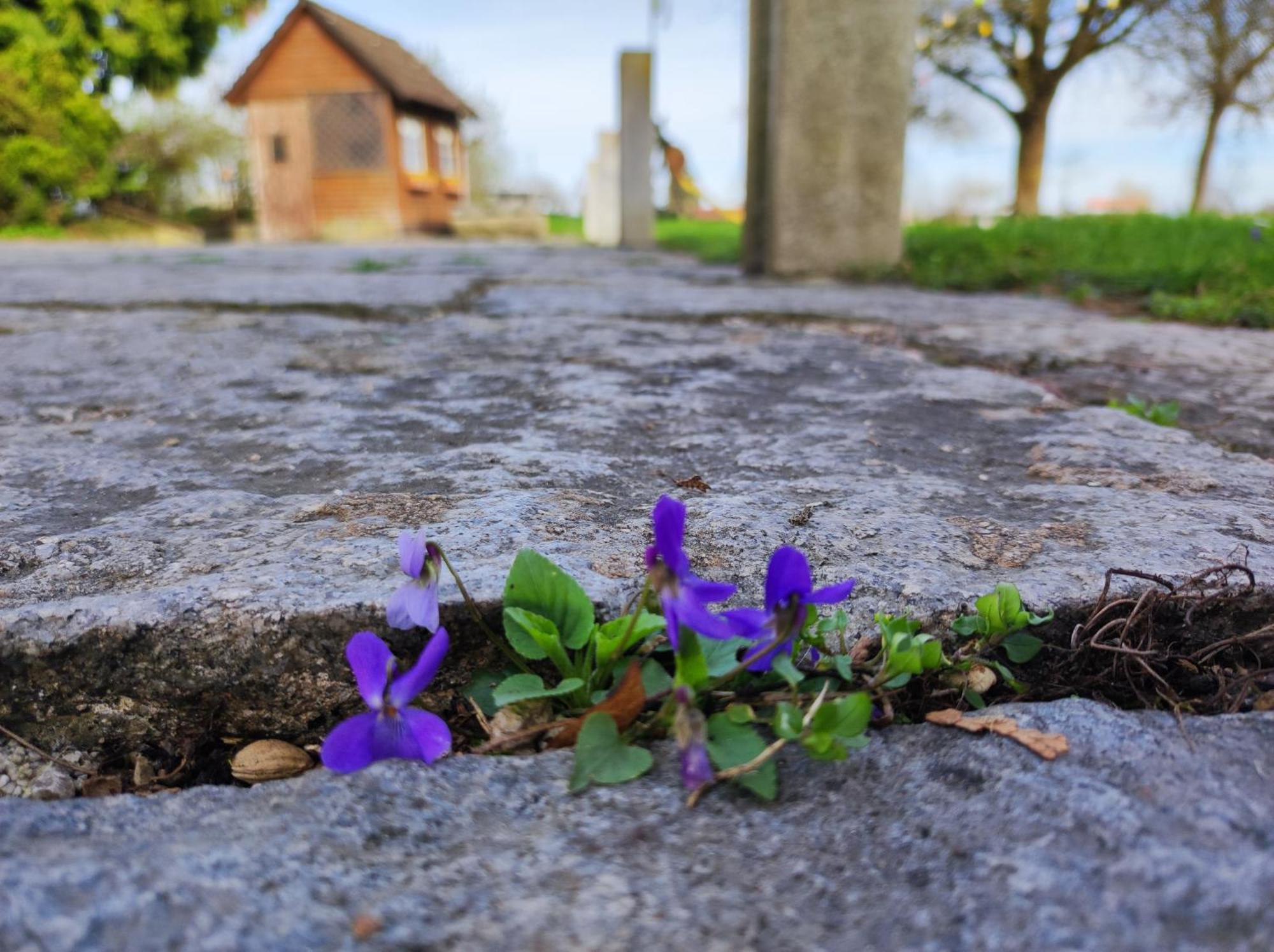 Peterseil's Radl Vakantieboerderij Mauthausen